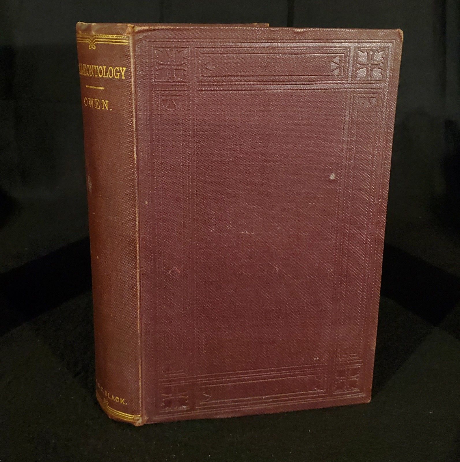 Palaeontology: Extinct Animals & Geological Relations ~ By Richard Owen ~ 1860