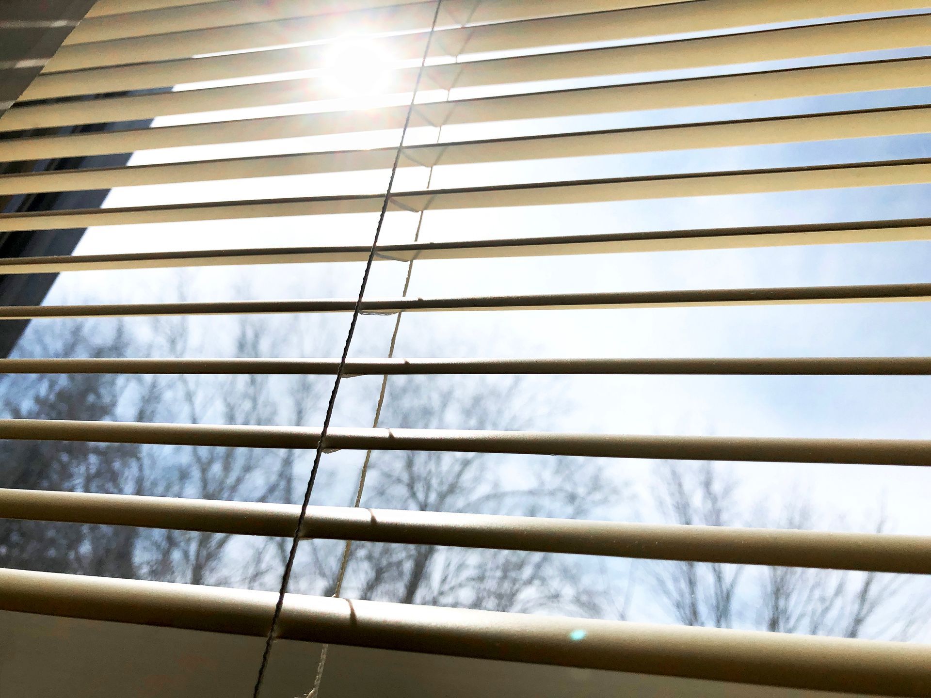 Beige window blinds partially open with sunlight streaming through; tree branches and blue sky visible.