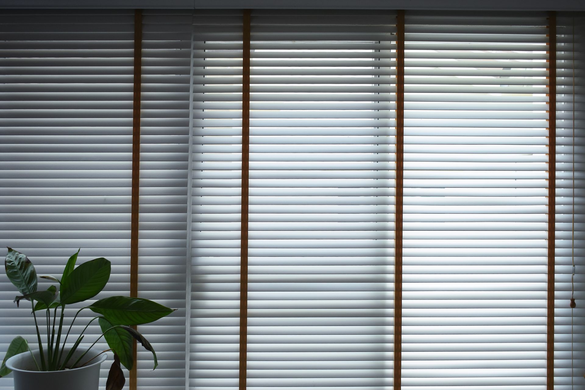 White blinds partially obscuring a window, with a potted plant visible in the foreground.