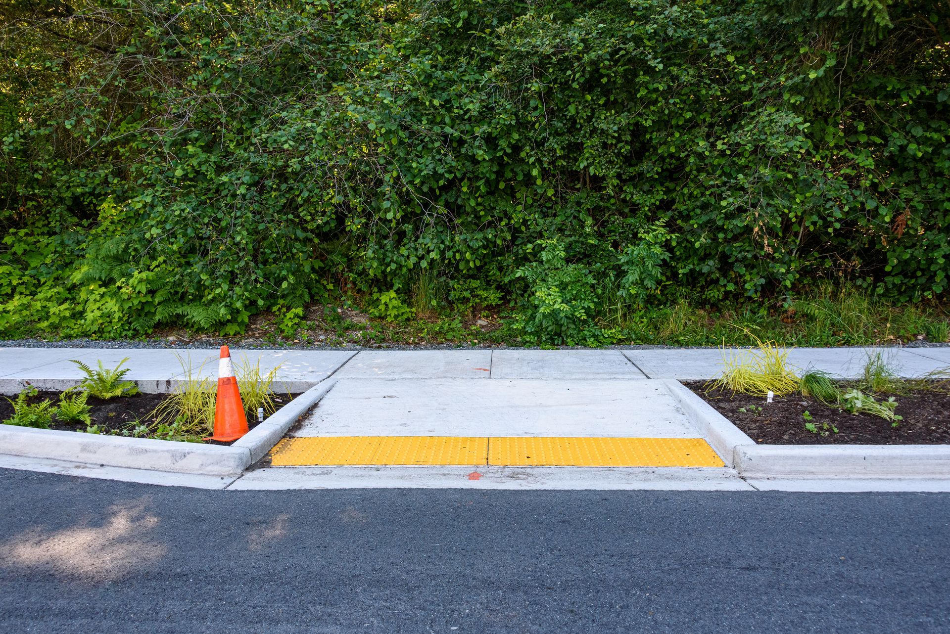 Orange cone on a sidewalk ramp with yellow tactile paving, bordered by a curb and landscaping, against green bushes.