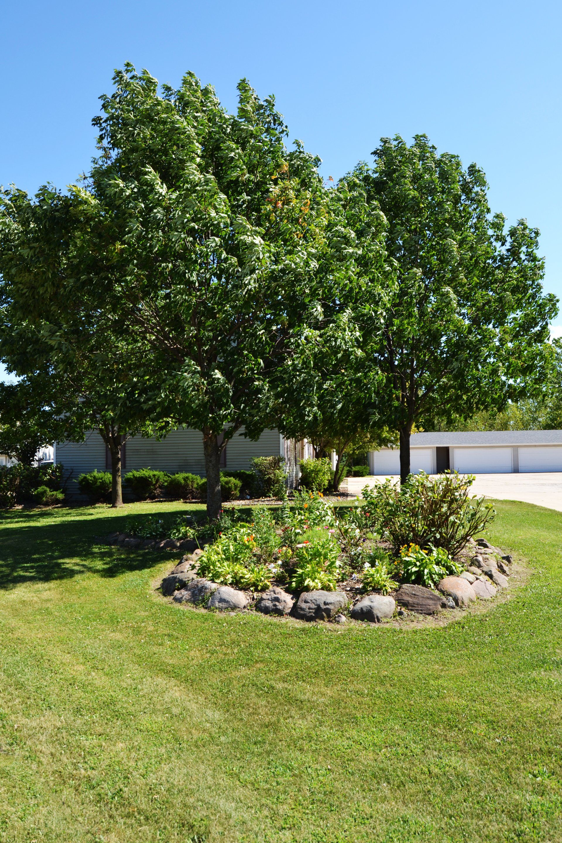 Double Jack Apartments Landscaping