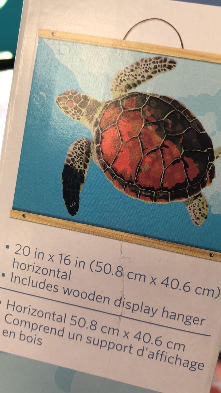 Sea turtle art print, 20x16 inches, horizontal. Includes wooden hanger in a USA shop.