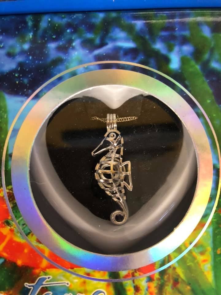 Seahorse pendant in a silver cage, on a black heart, inside a holographic-edged frame in a USA shop.