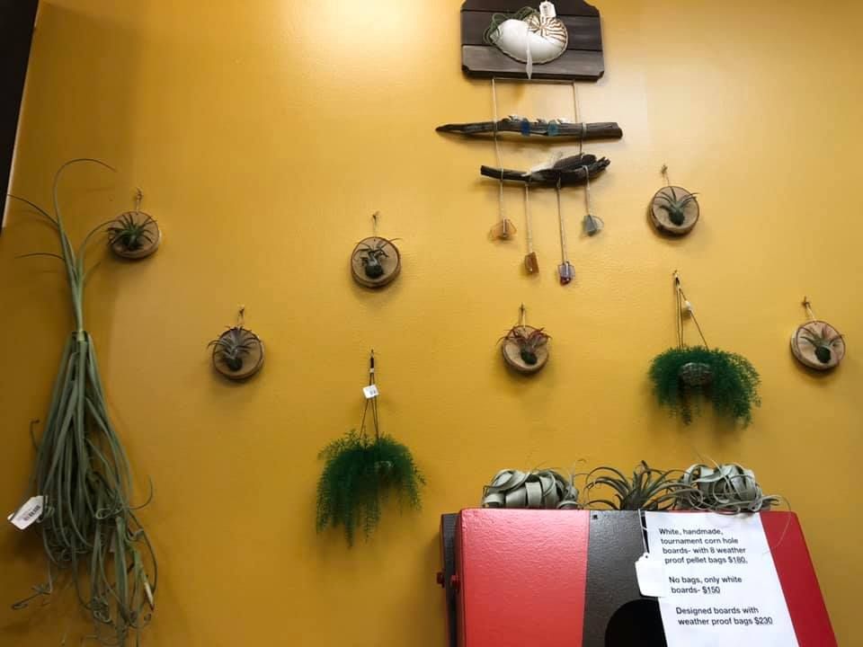 Yellow wall display with air plants in wood mounts, next to a red sign.