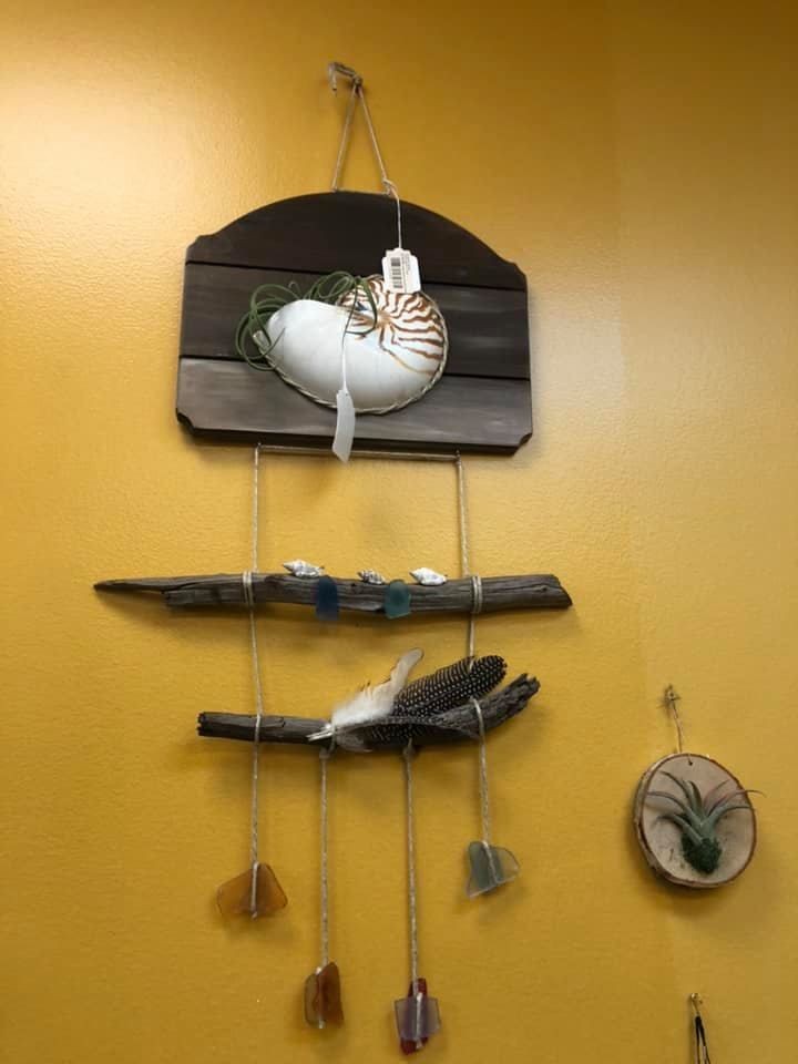 Wall hanging with shell and driftwood decor against a yellow wall.