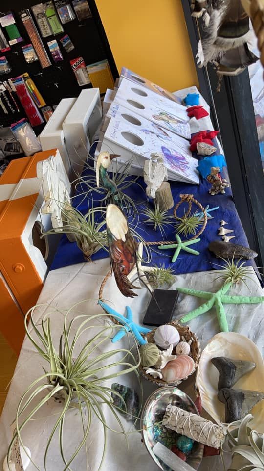 Table display of ocean-themed items: air plants, shells, starfish, and nautical decor.