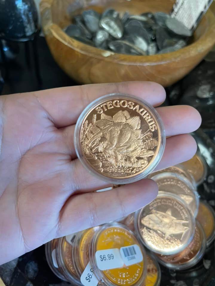 Hand holding a copper Stegosaurus coin, with other coins in foreground and bowl of rocks in background.