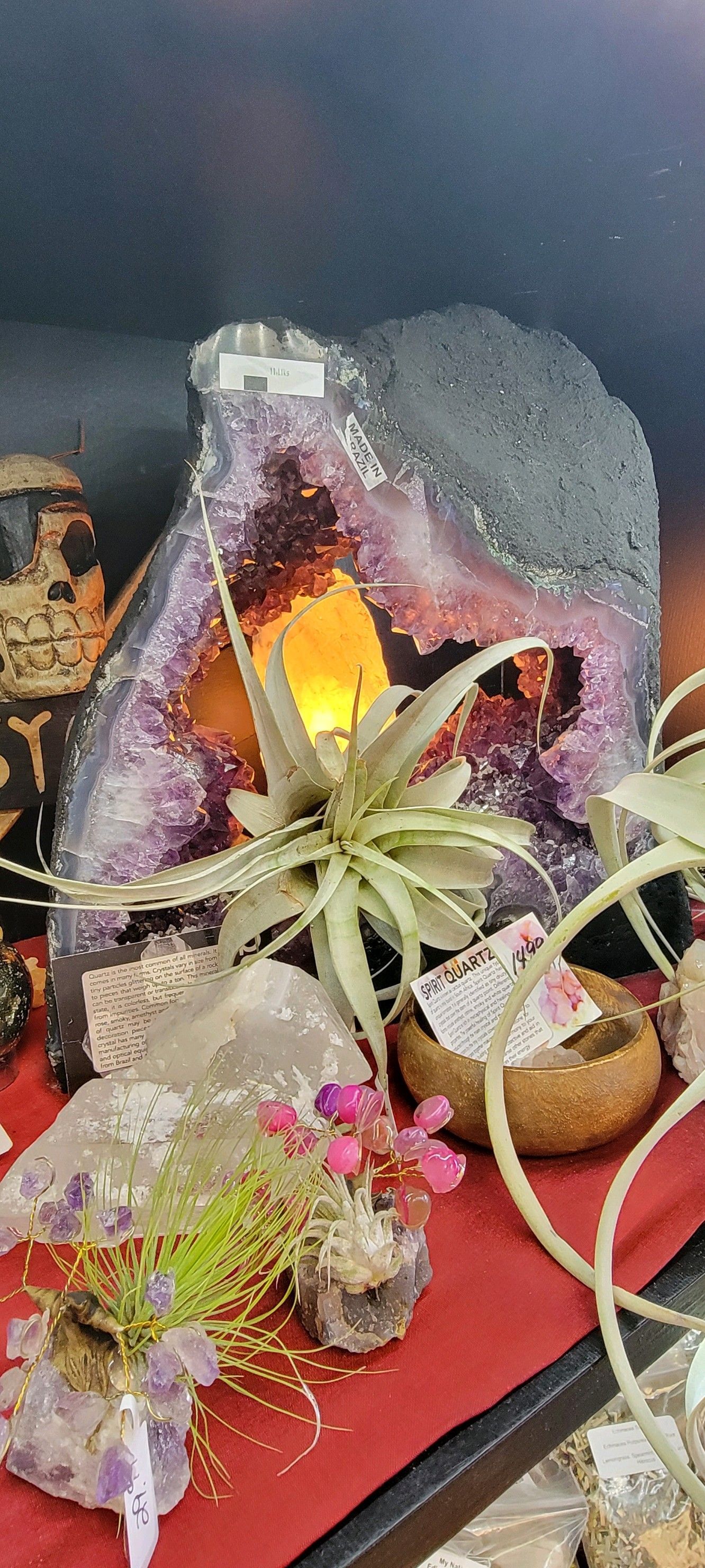 An amethyst geode with a plant inside, surrounded by crystals and decor.