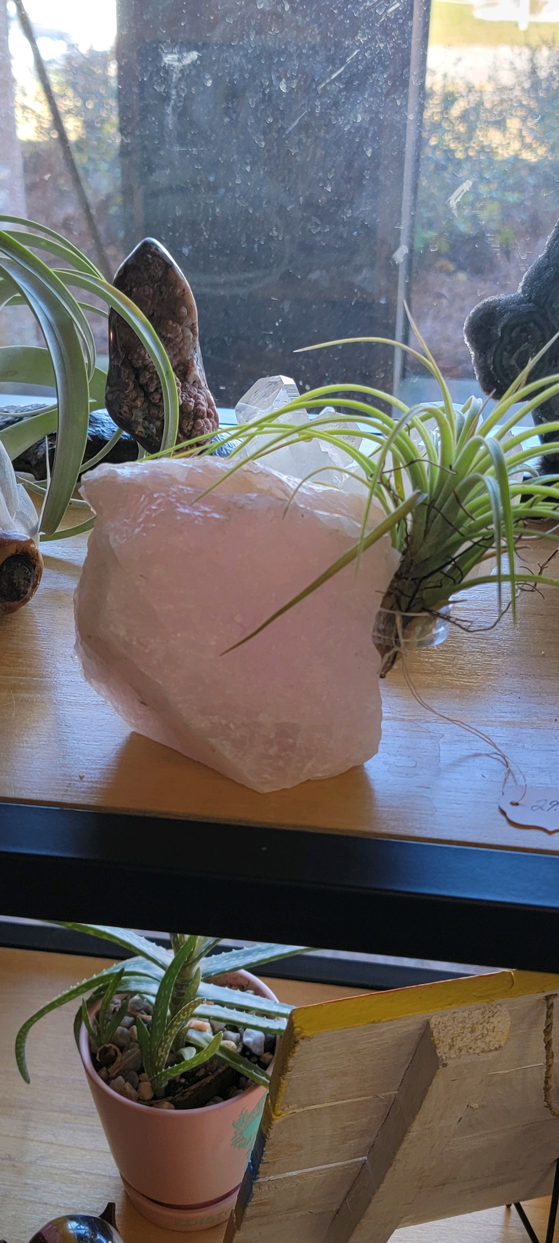 A small pink potted plant and a large white stone with green plants on top are displayed near a window.