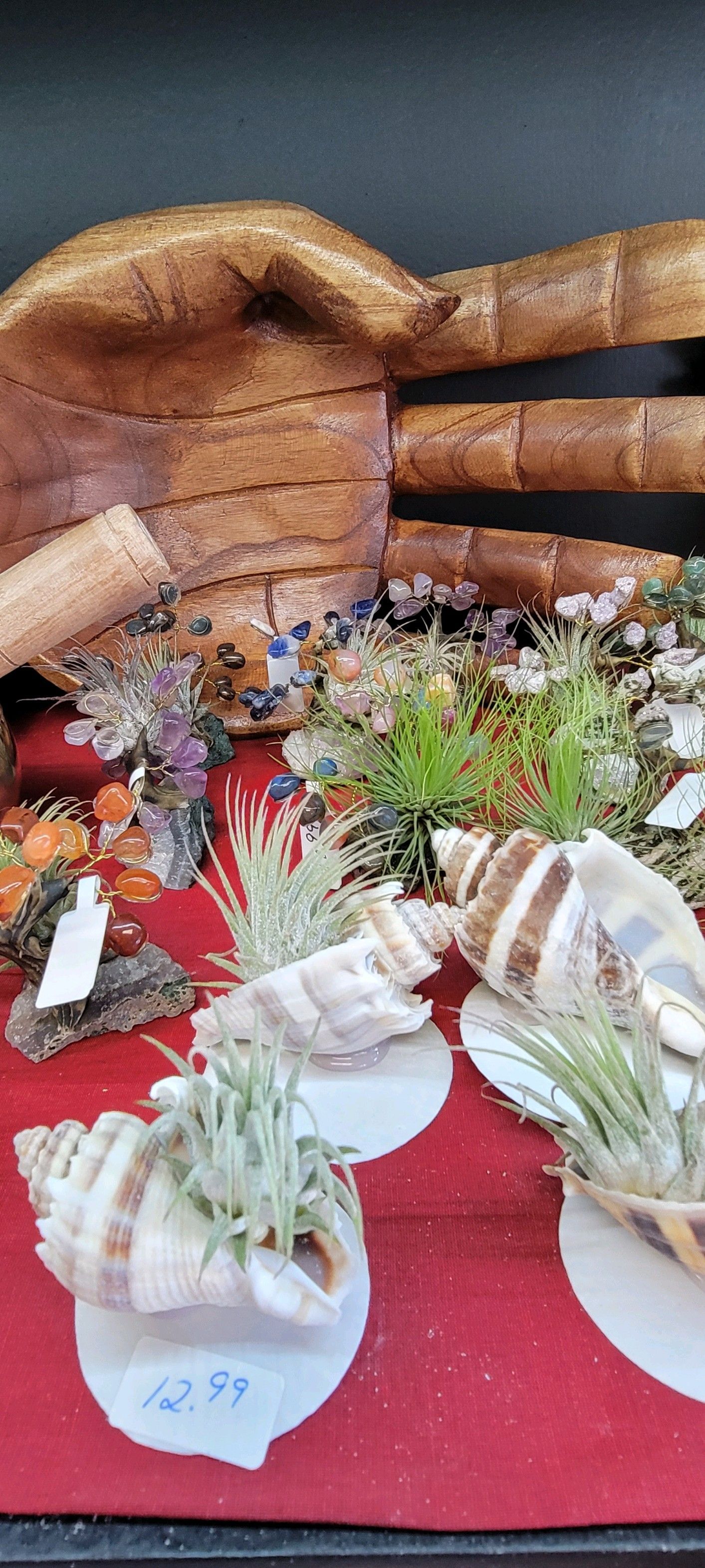 Seashells with plants sit on a red surface; there's a backdrop of stacked wooden beams.