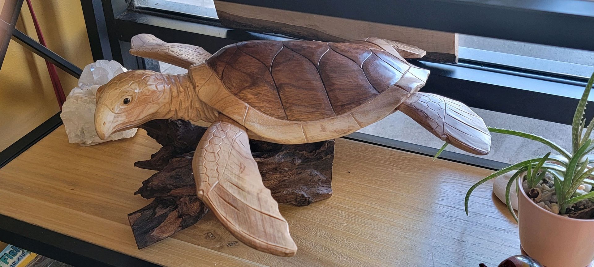 Wooden turtle sculpture on a wooden surface, with plant and window in background.