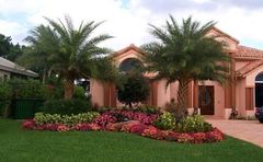 A house with palm trees and flowers in front of it