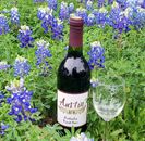 Wine bottle in bluebonnets