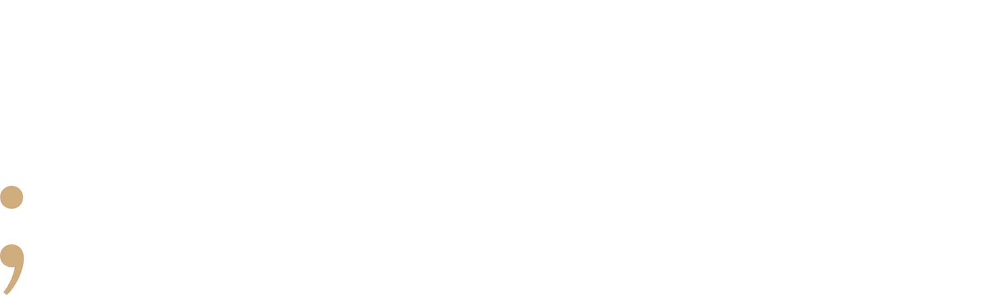 Logo der Texterei Steinfals, Textagentur aus Münster