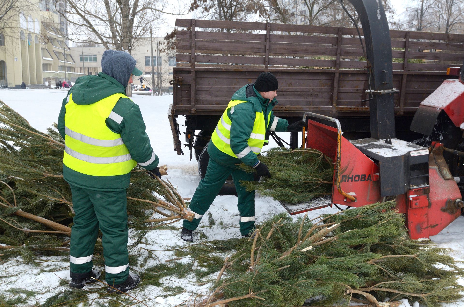 Two workers in green uniforms feeding Christmas trees into a wood chipper on snow.