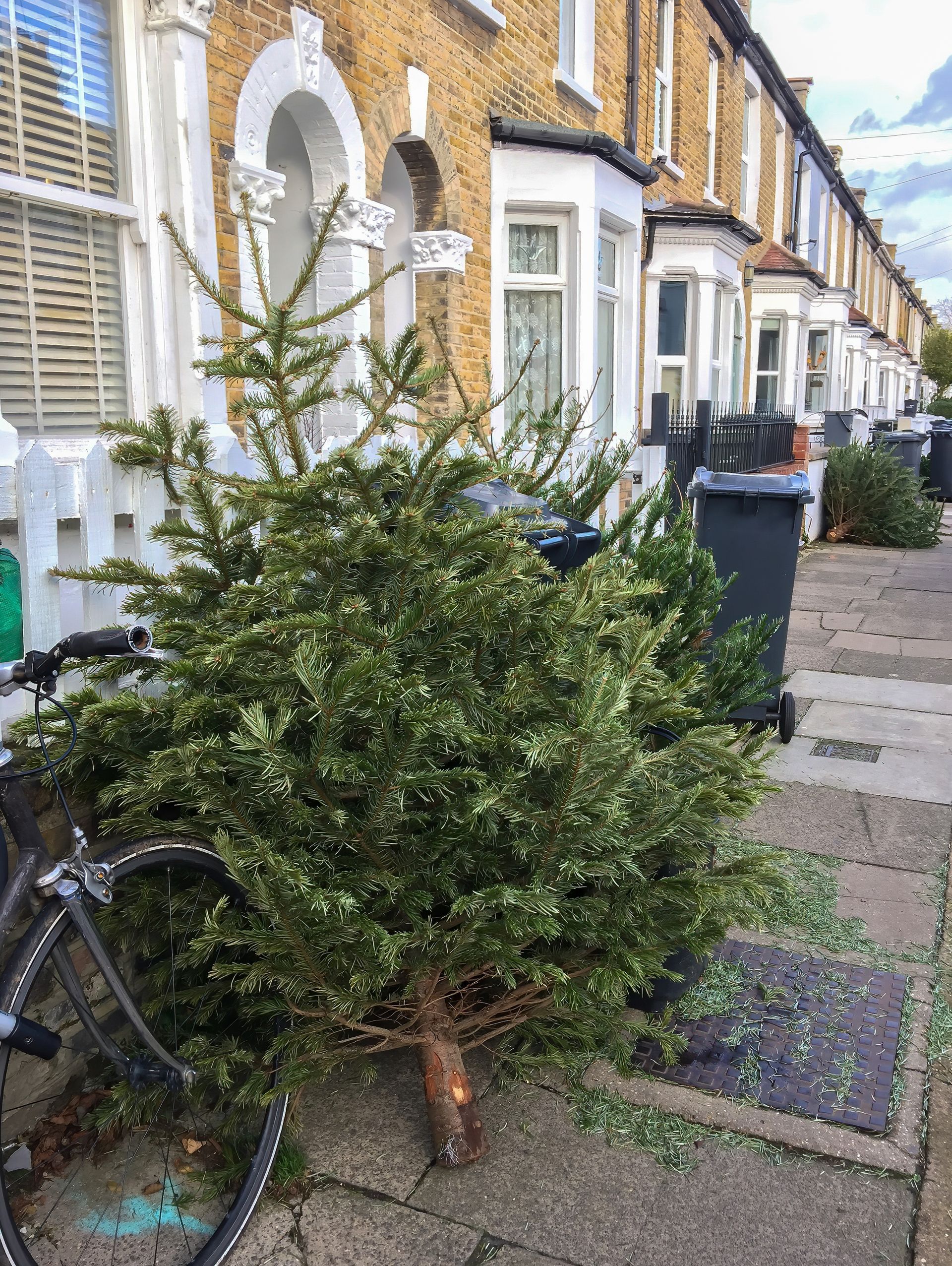 A christmas tree is sitting on the sidewalk next to a bicycle.