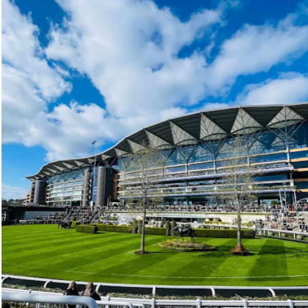 Picture of a racecourse