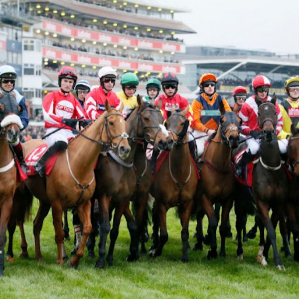 Picture of jockeys and horses