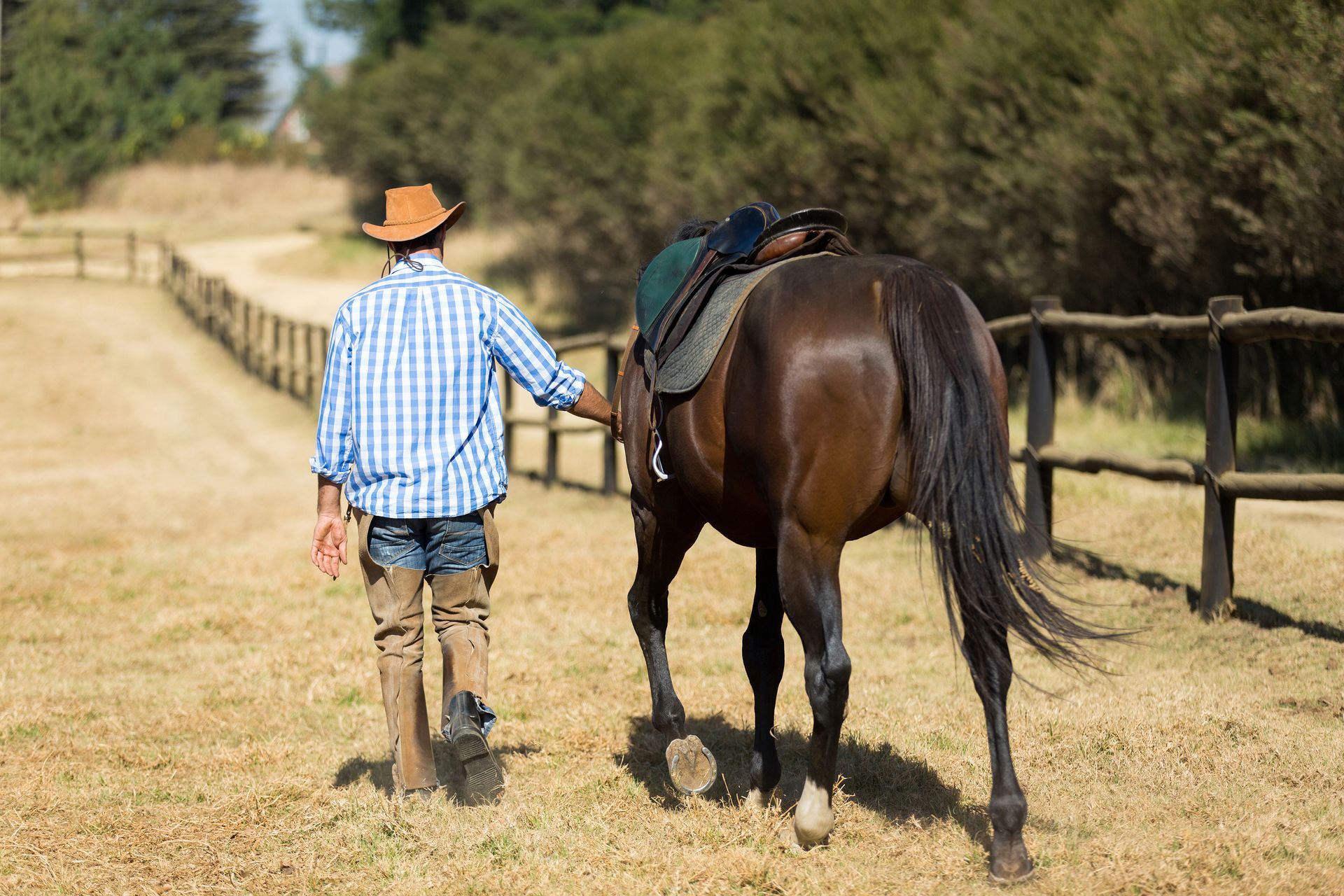 Equine Consultation Services Idaho