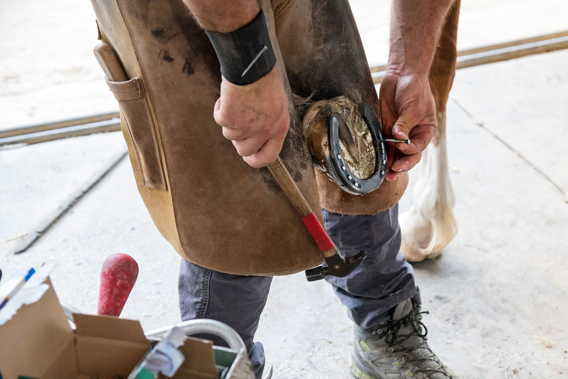 Custom Therapeutic Horseshoeing for Recovery