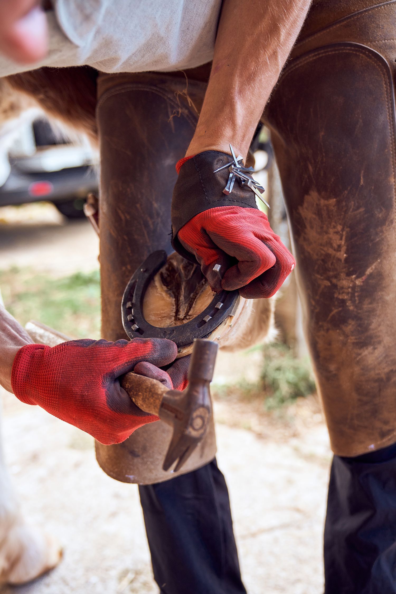 Top Corrective Horseshoeing Farriers near me