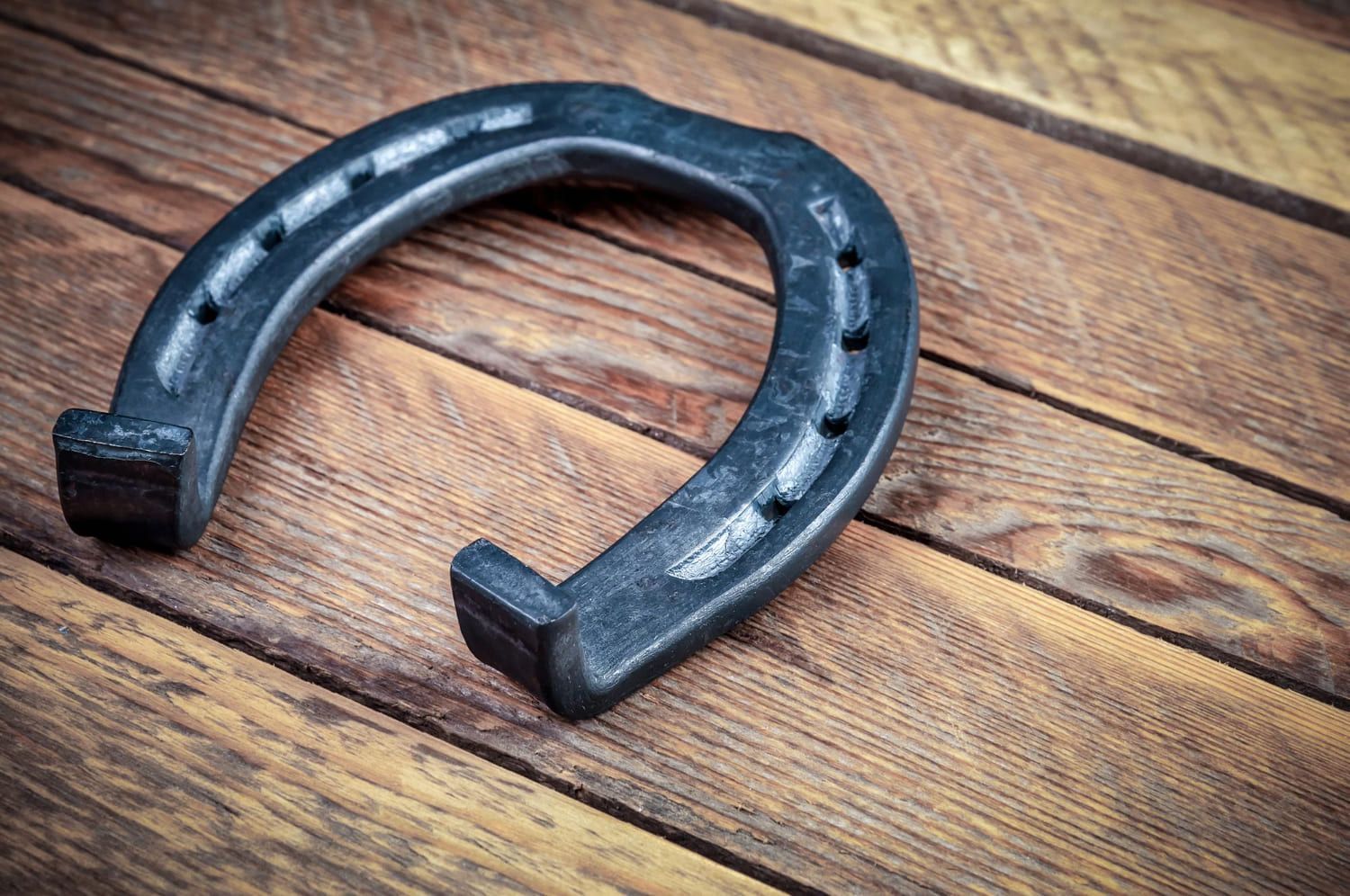 Therapeutic Horseshoeing Techniques