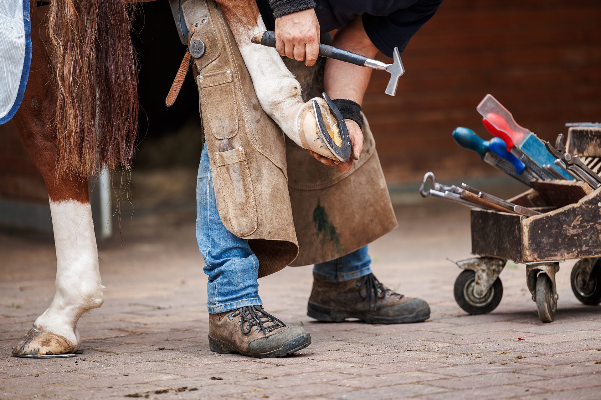 Emergency Farrier Services Idaho