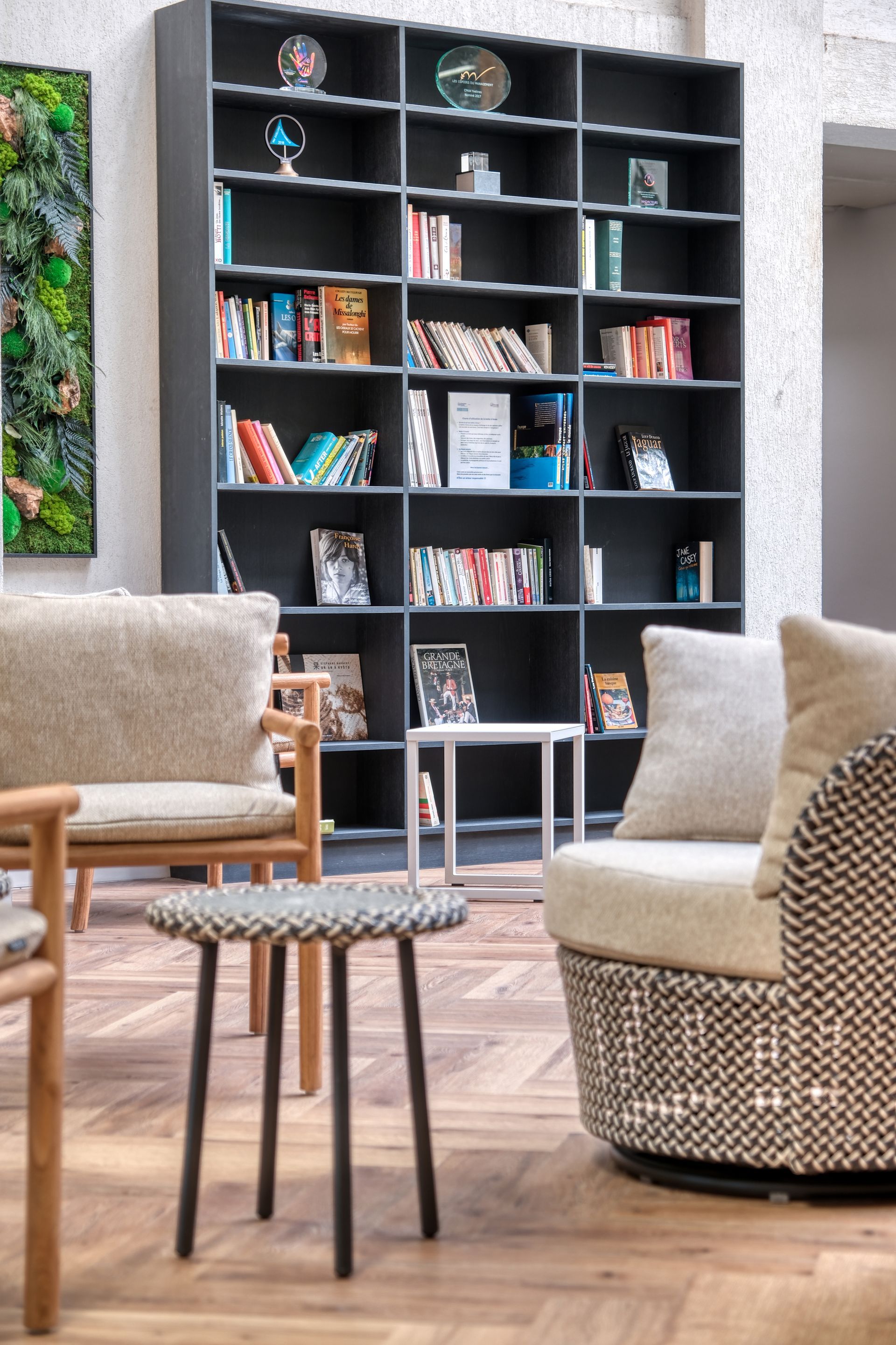 Un salon rempli de meubles et d'une bibliothèque