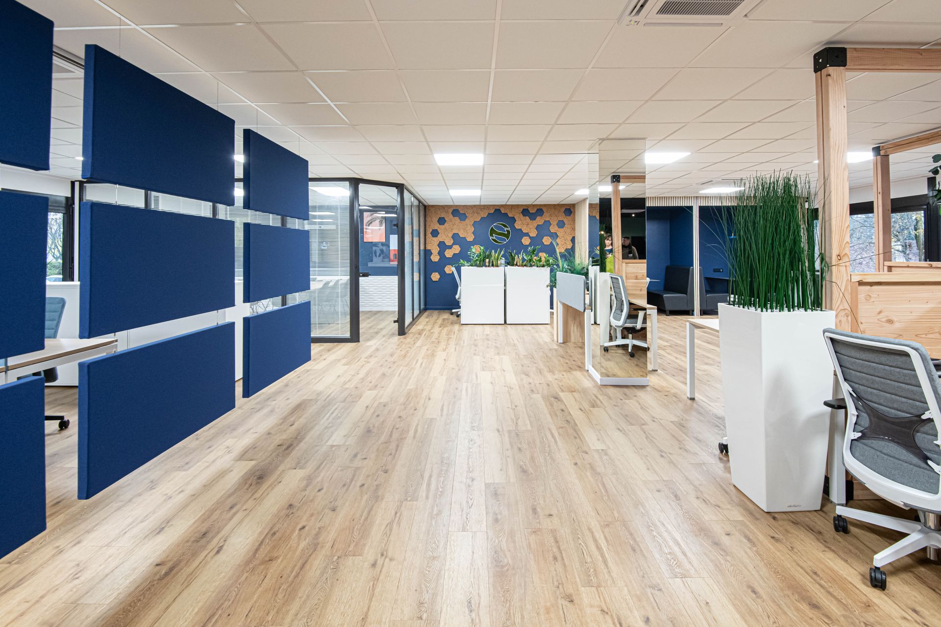 Un grand bureau avec parquet et murs bleus.