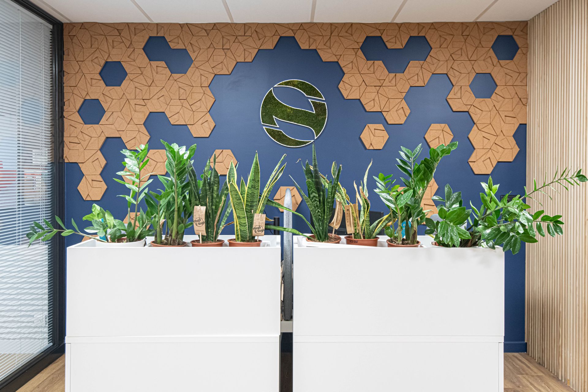 Deux jardinières blanches remplies de plantes sont posées devant un mur.