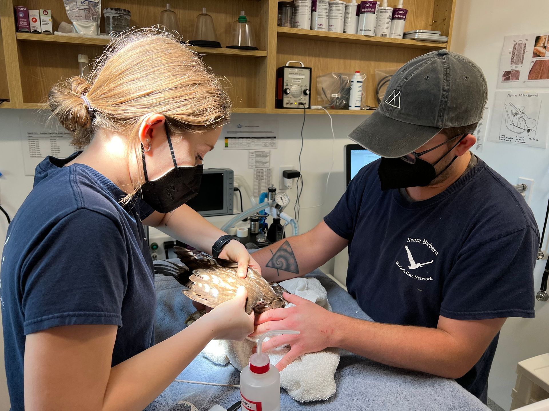 A man and a woman wearing masks are working on a cat at SBWCN