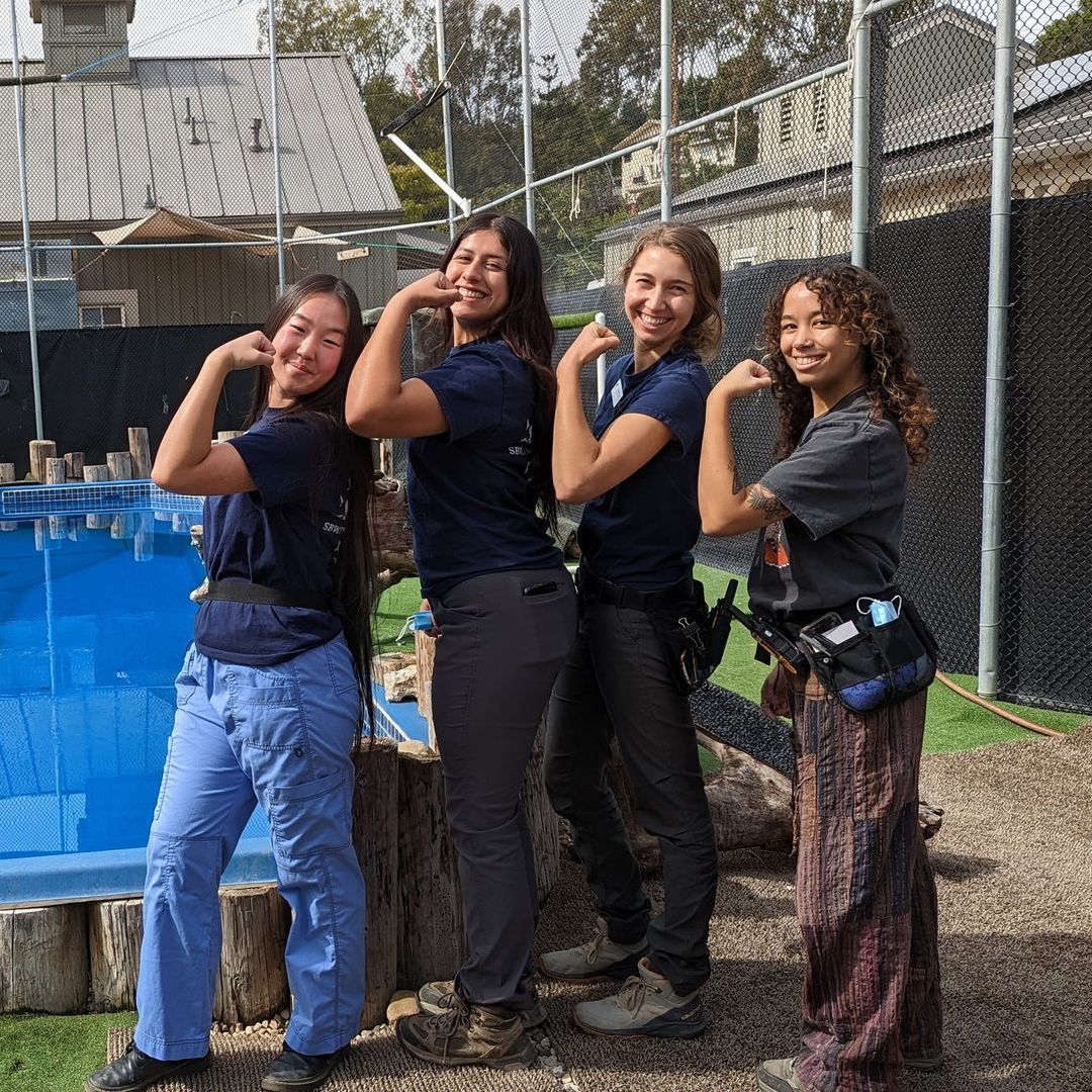 Three women are posing for a picture in front of a pool.
