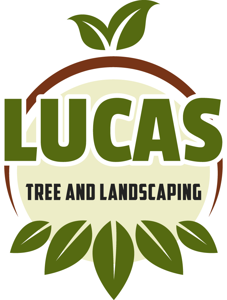 LUCAS TREE AND LANDSCAPING