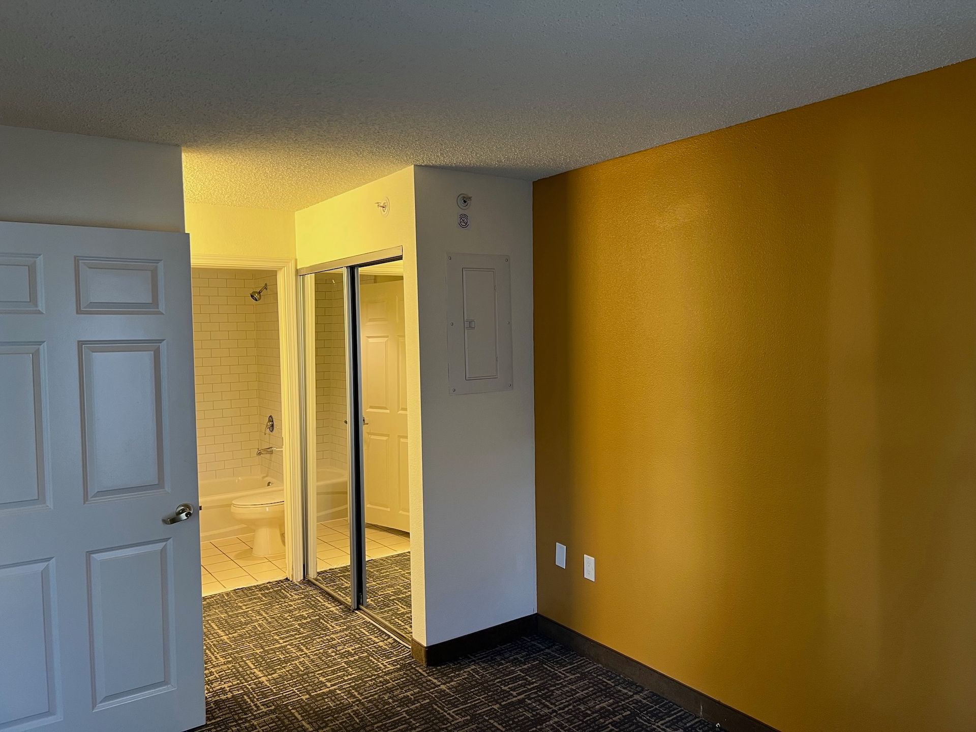 Bedroom with mustard yellow accent wall, closet, and doorway to bathroom. White door on the left.
