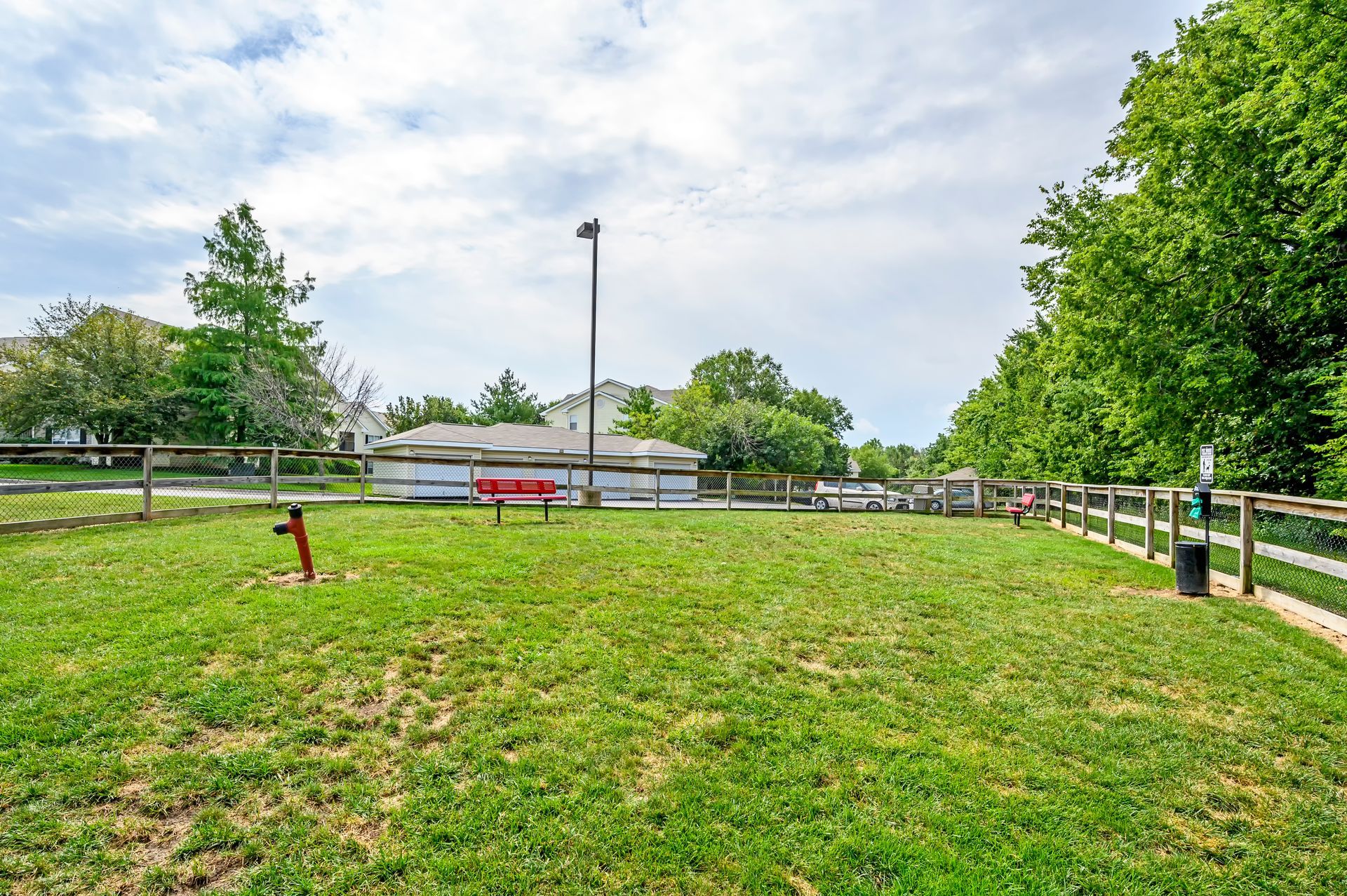 A large grassy field with a fence and trees in the background.
