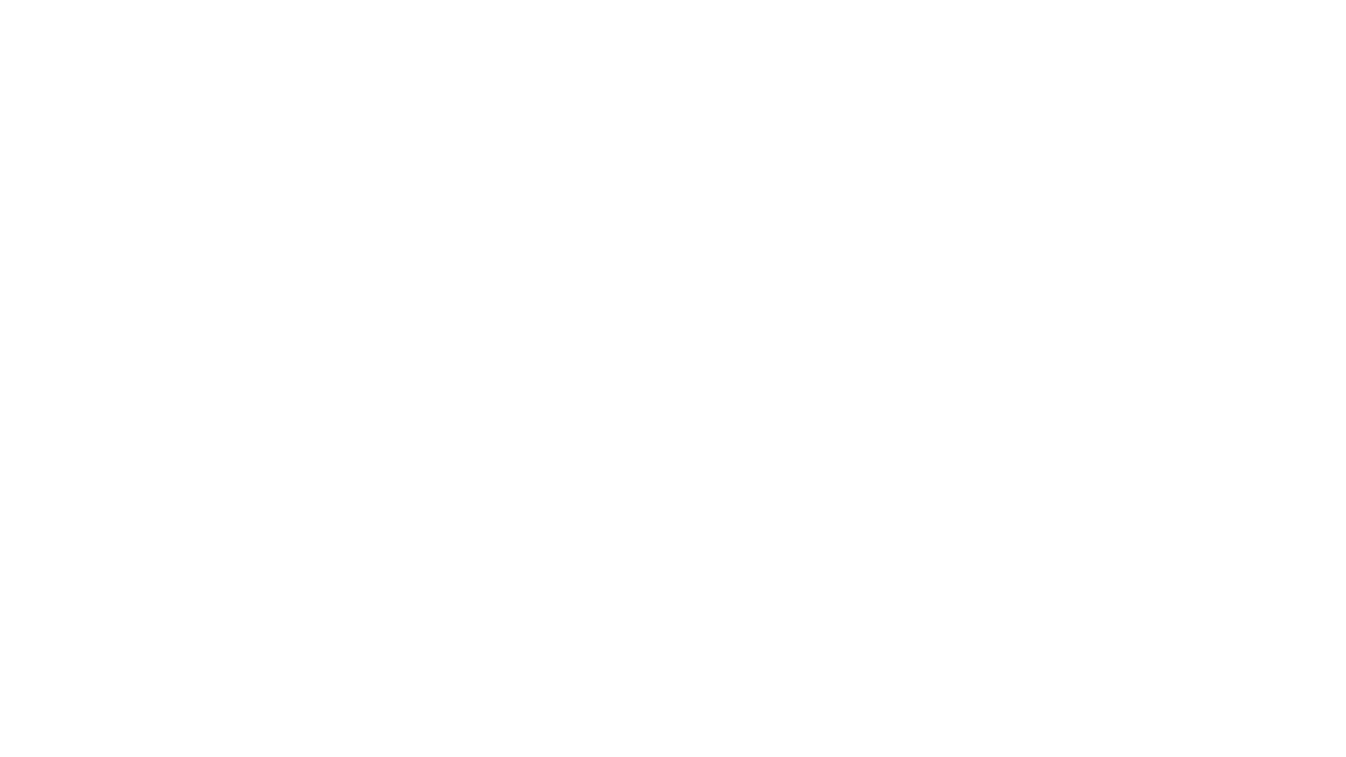 logo revox