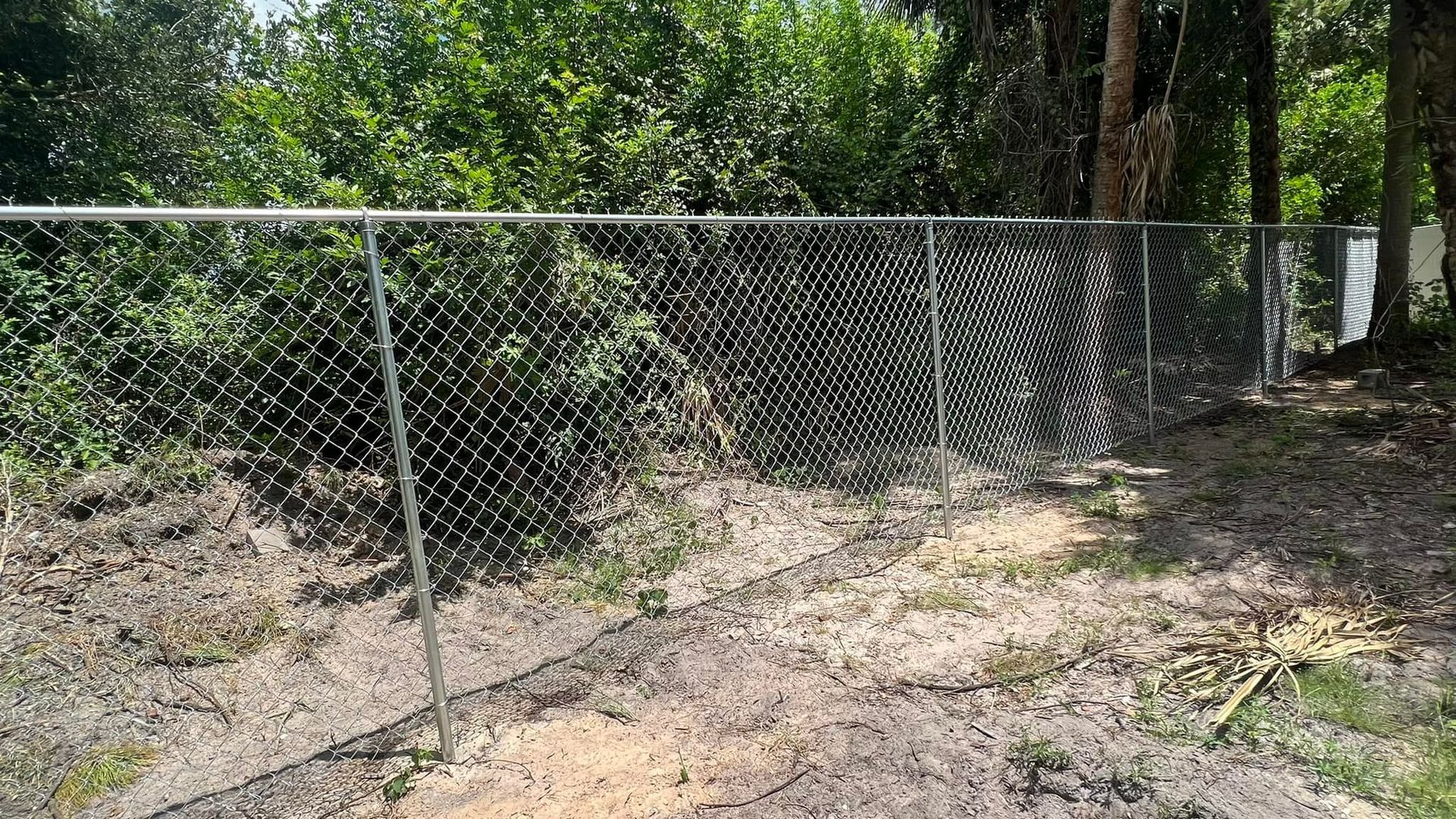 A chain-link fence borders a yard next to a tree line.