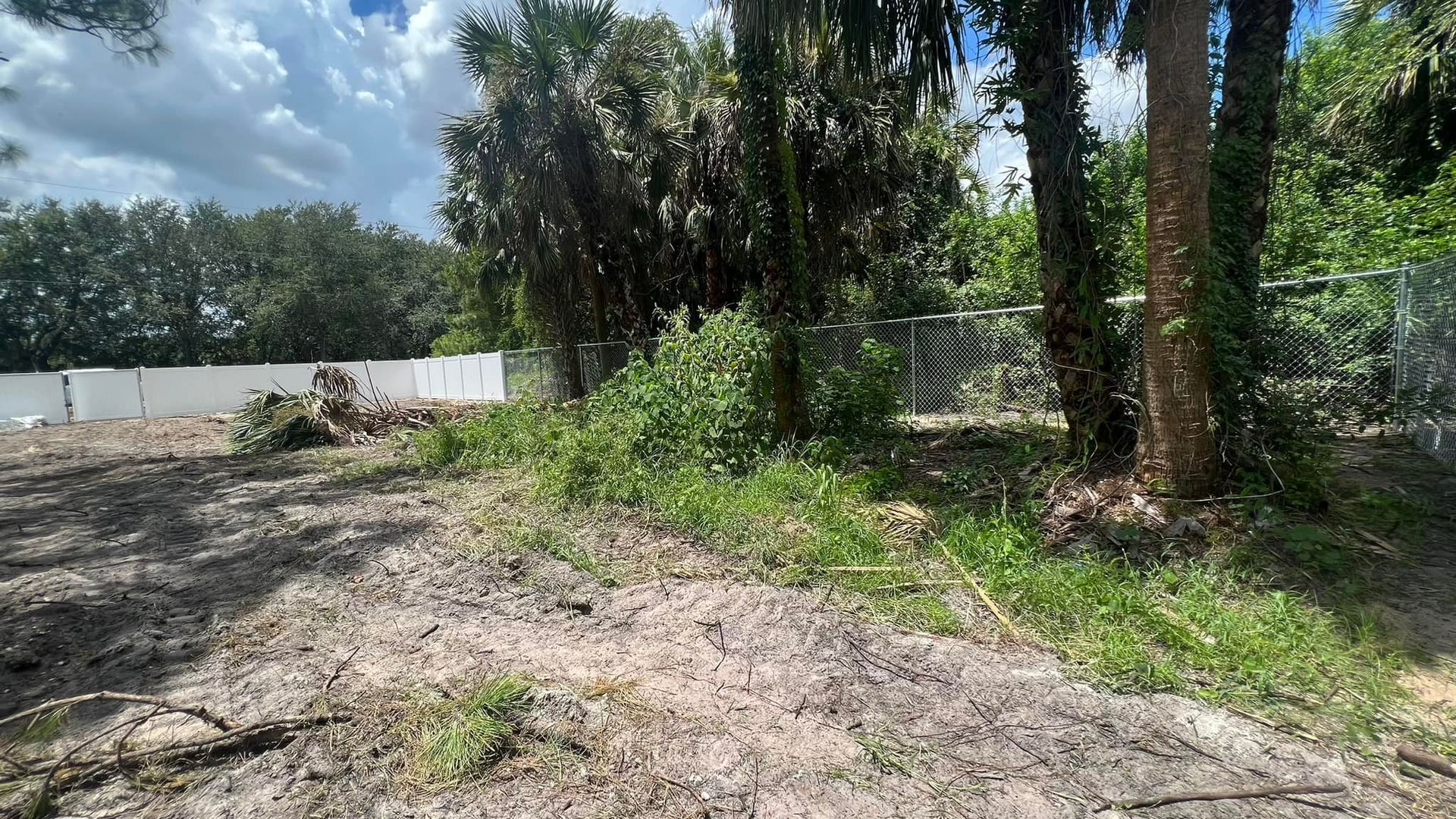 Overgrown yard with dirt, grass, trees, and a chain-link fence under a cloudy sky.