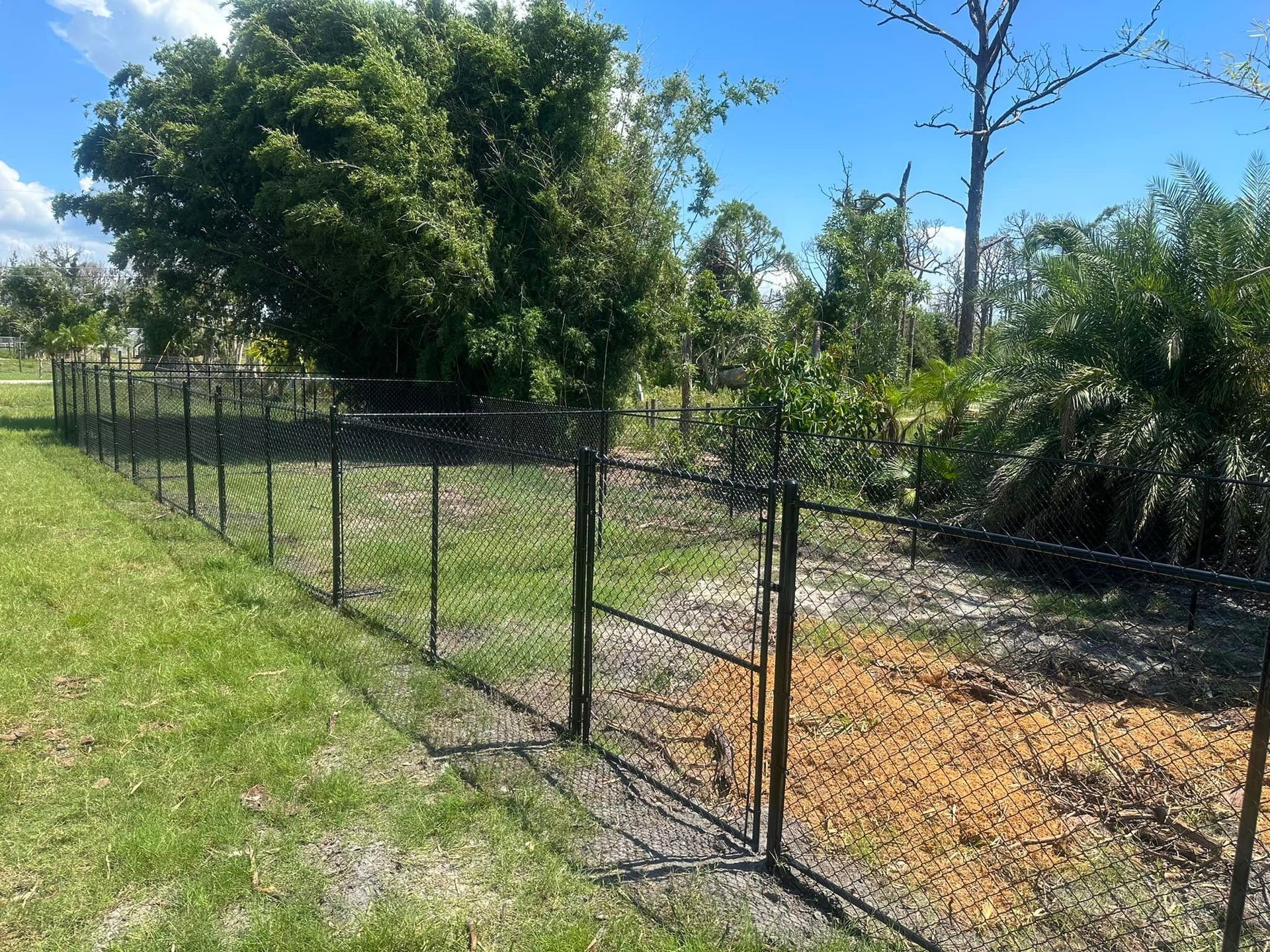 Black chain-link fence with a gate borders a grassy area with trees and blue sky.