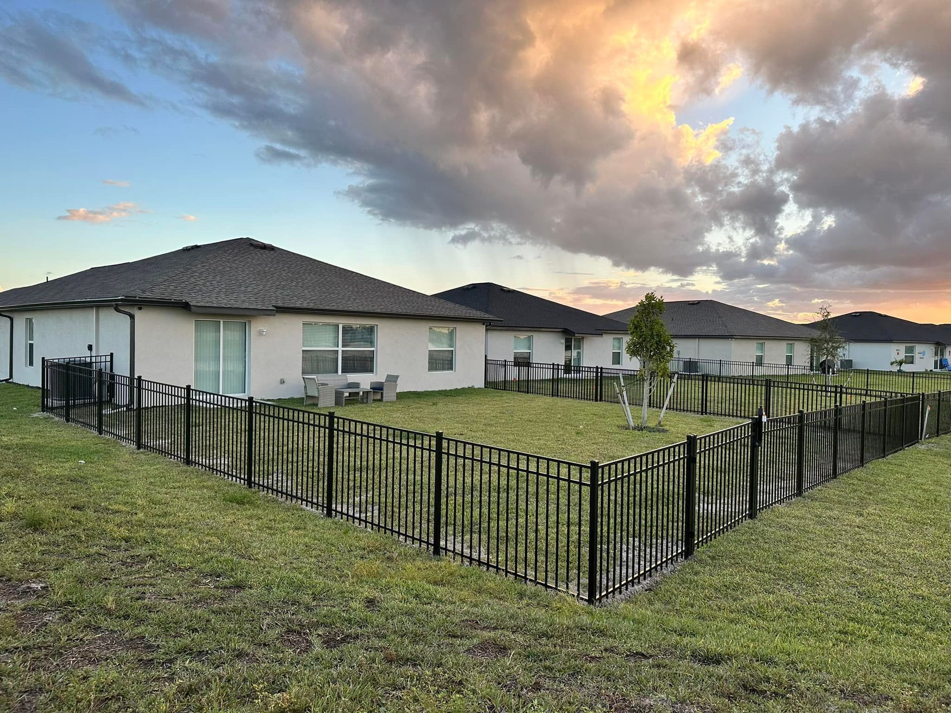 Backyards of houses with black fences, green lawns, and a colorful sunset.