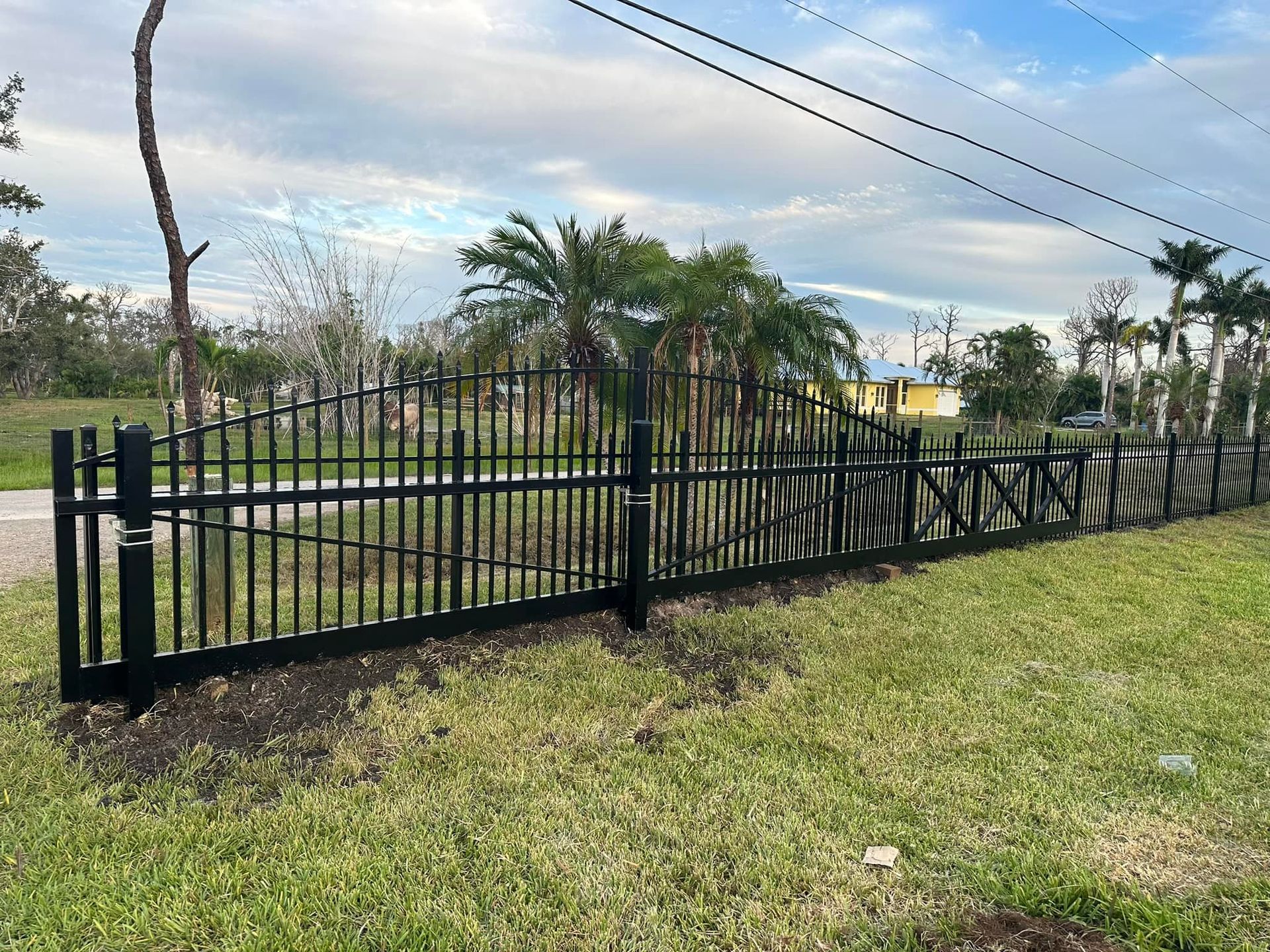 Black wrought iron fence in front of green grass and trees under a cloudy sky.