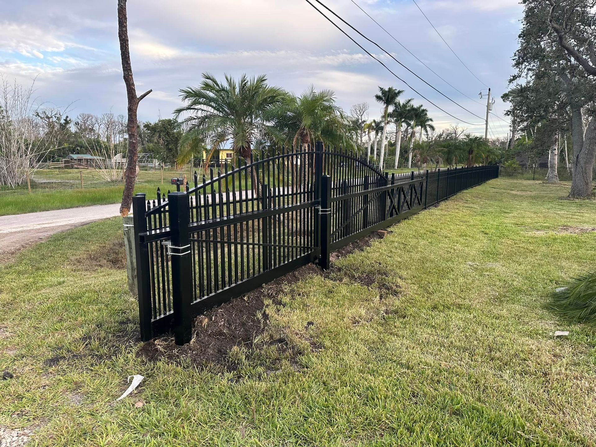 Black metal fence along a grassy area, with palm trees and a cloudy sky in the background.