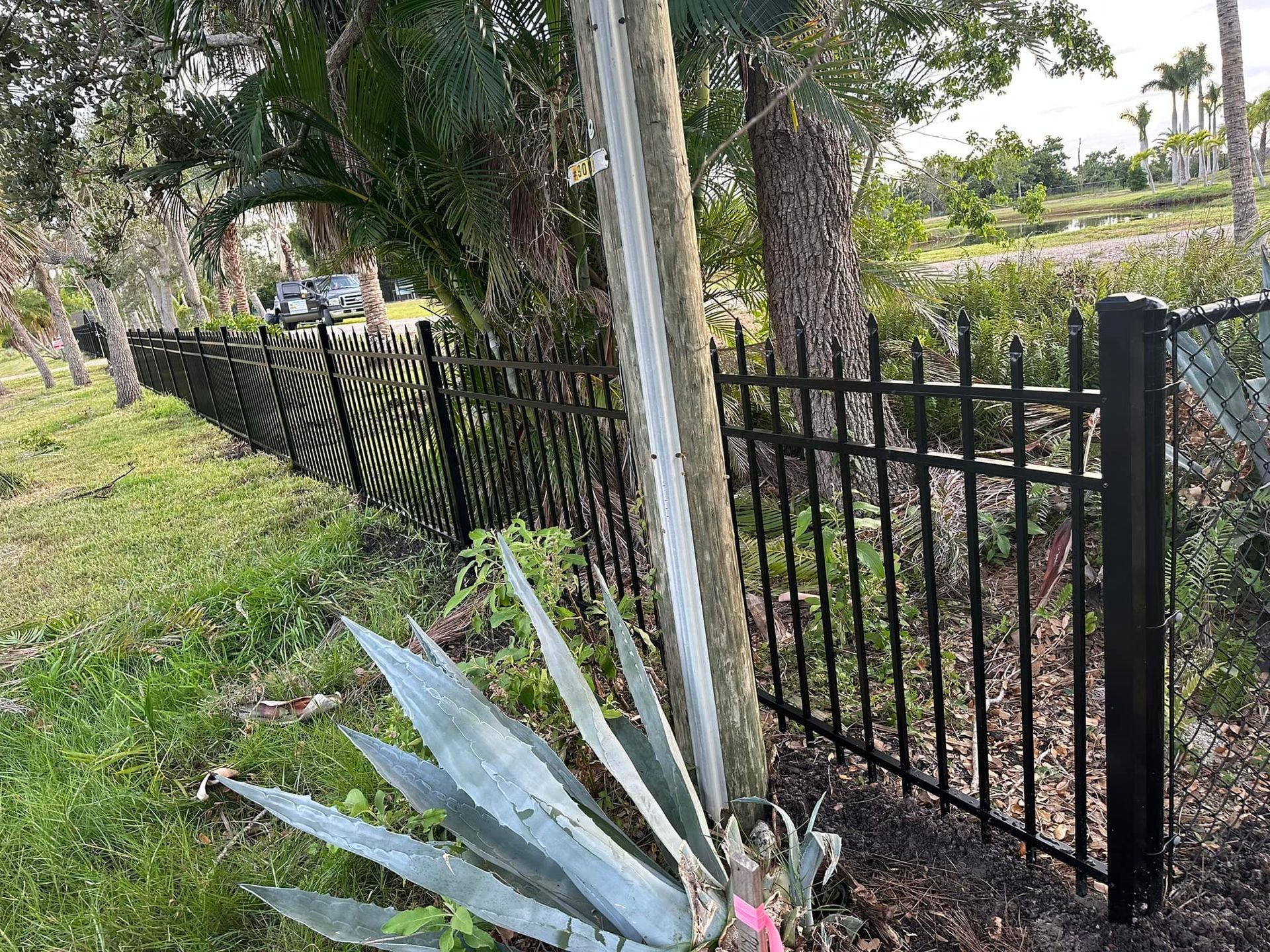 Black metal fence bordering a grassy area and road, with a utility pole and aloe plant in the foreground.