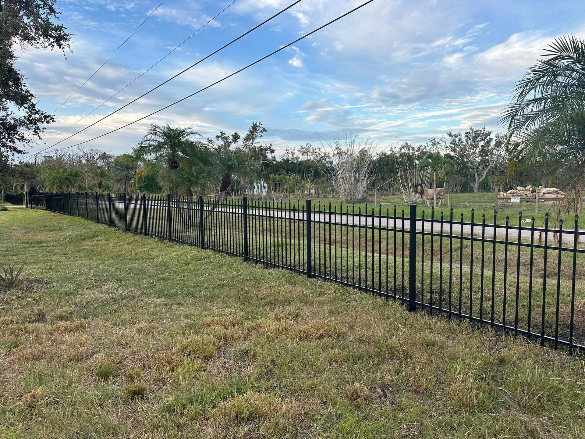 Black metal fence on a grassy lot, with trees and a cloudy blue sky in the background.