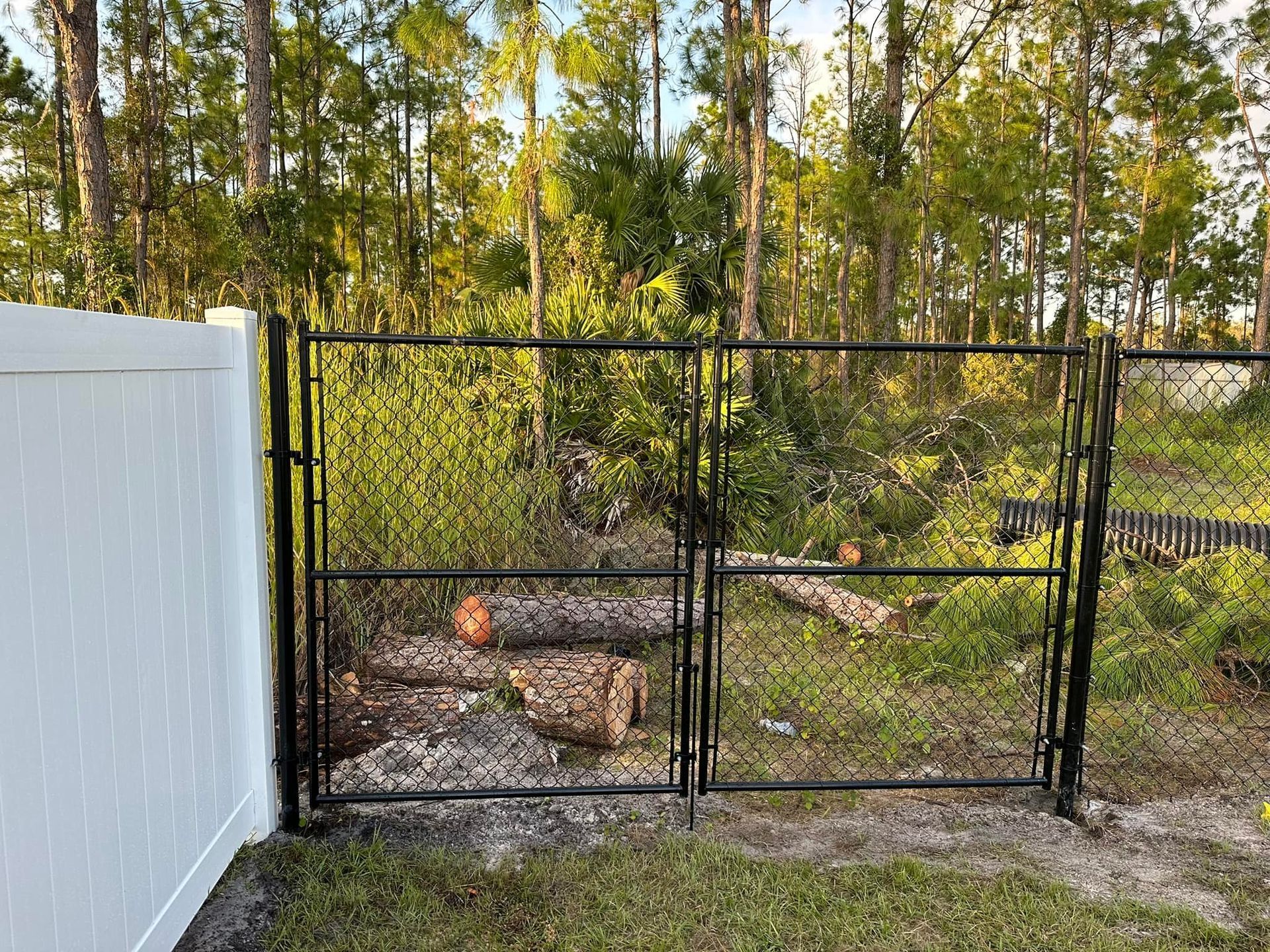 Black metal double gate and white fence with logs in overgrown yard.