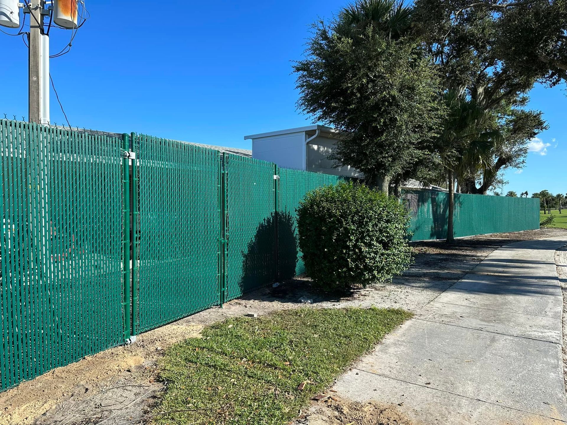 Green privacy fence with green shrub and trees along a sidewalk on a sunny day.