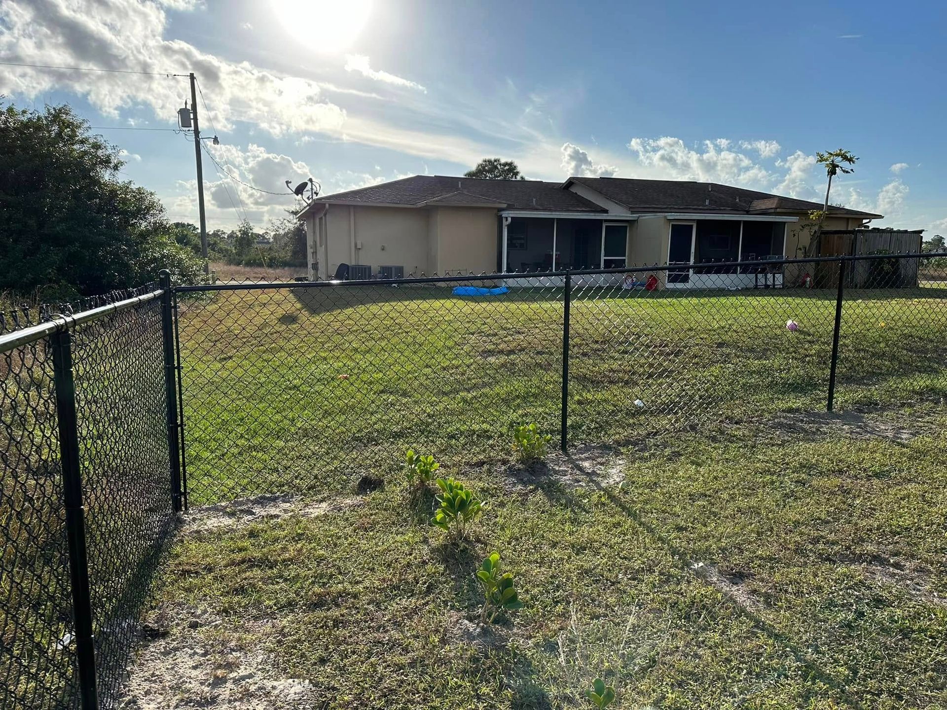 Backyard with green grass, black chain-link fence, and a beige house under a sunny sky.
