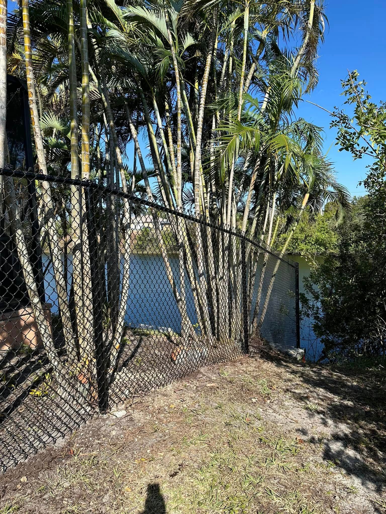 Black chain link fence with trees and dried grass against a blue sky.