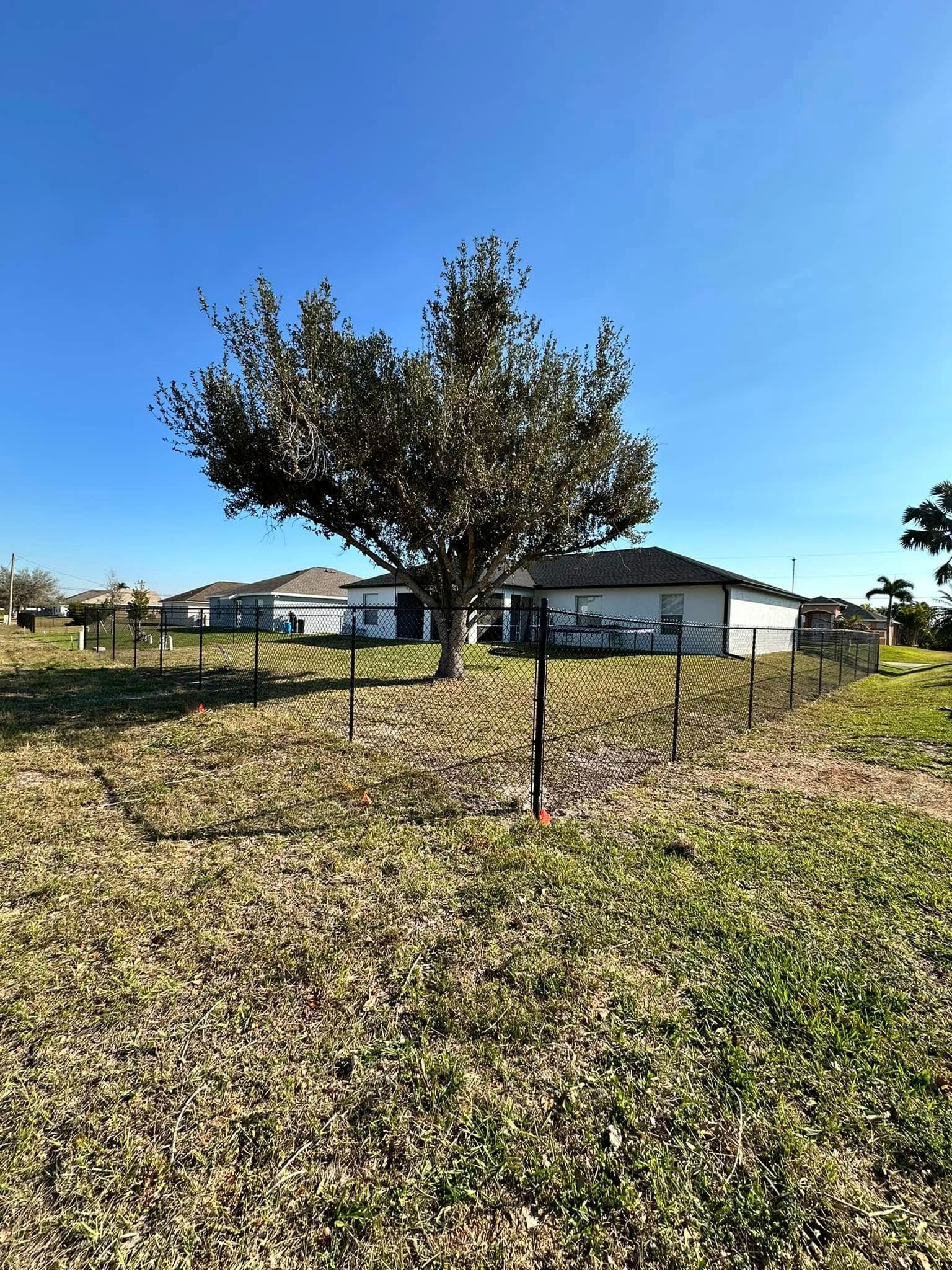 A grassy yard with a tree in front of two houses under a blue sky.