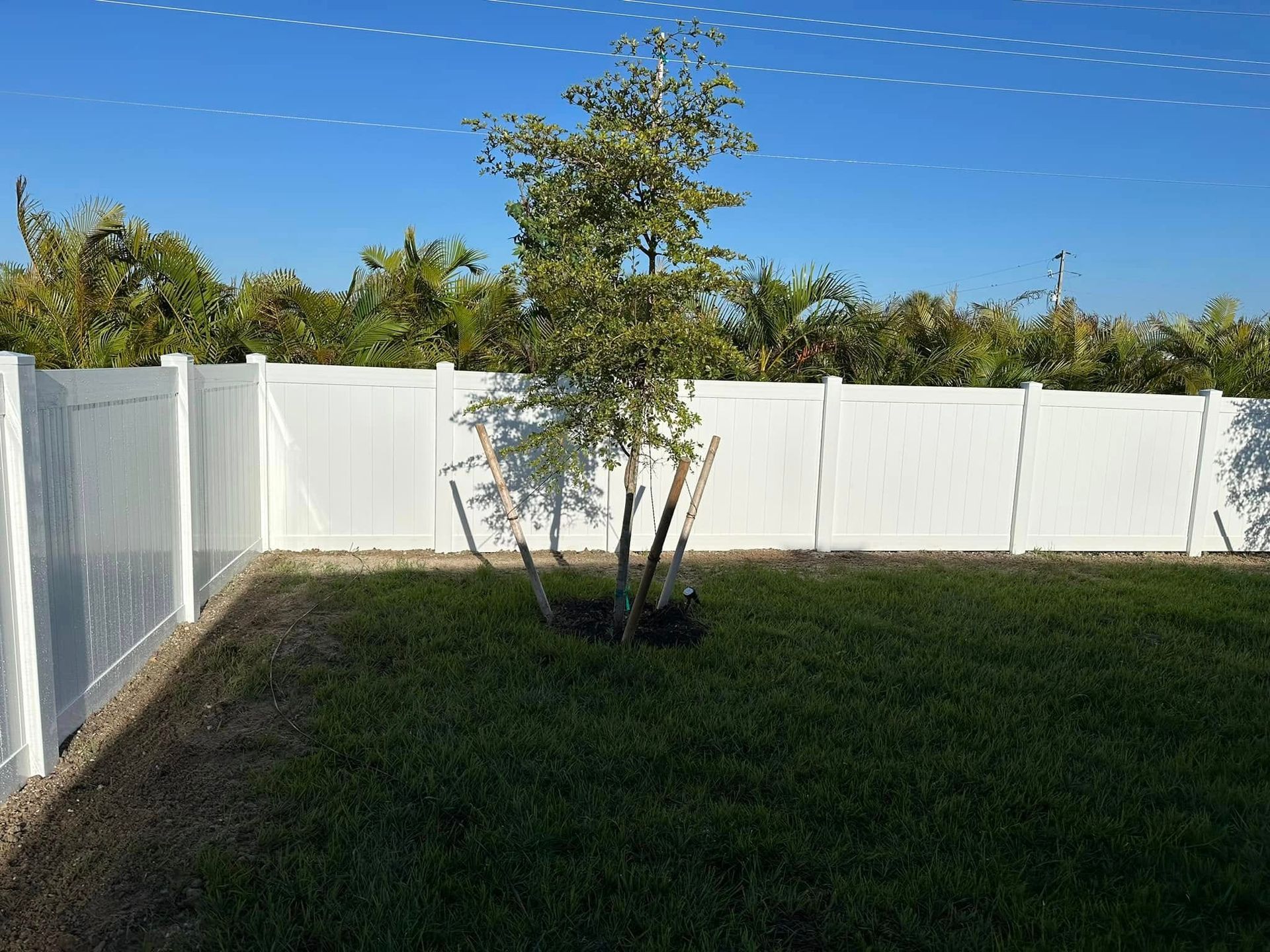 White fence in a yard with green grass and a small tree under a blue sky.